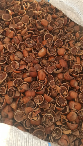 Pellet gusci nocciola - gusci, di