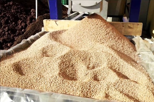 Nocciolino sansa vergine - di,