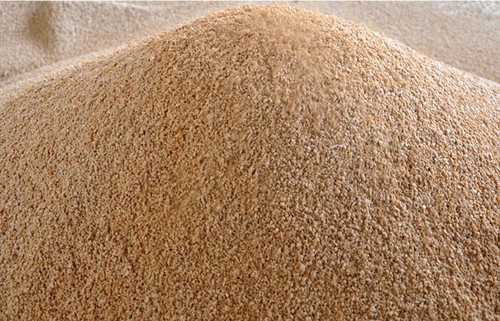 Nocciolino sansa vergine - di,
